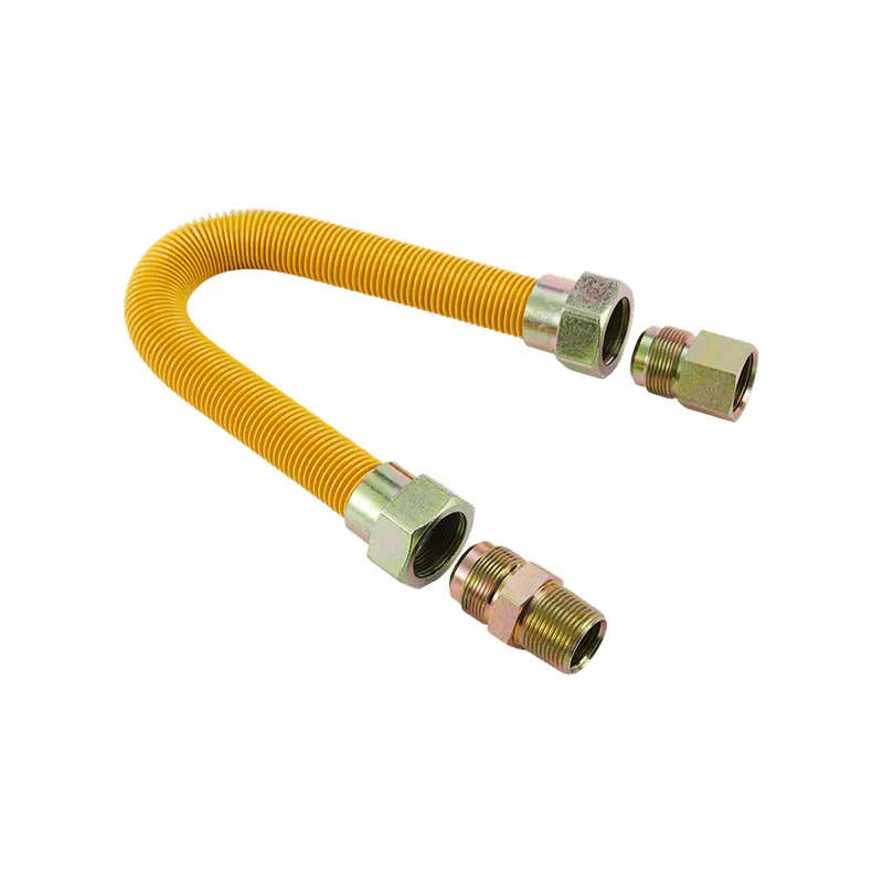DN25 Hindi kinakalawang na asero Gas Connector
